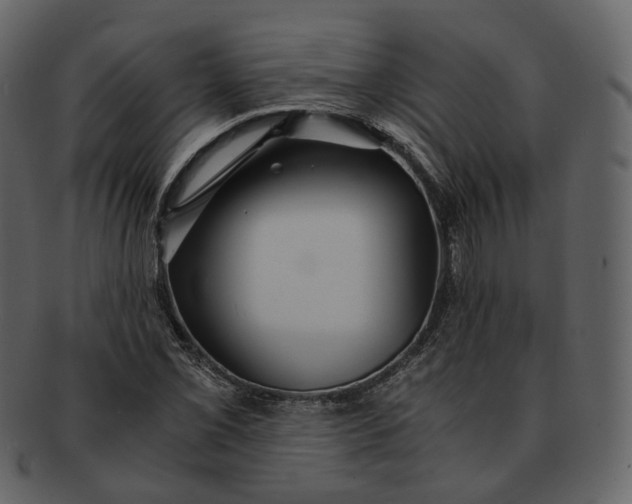 X0000092311069200710051234