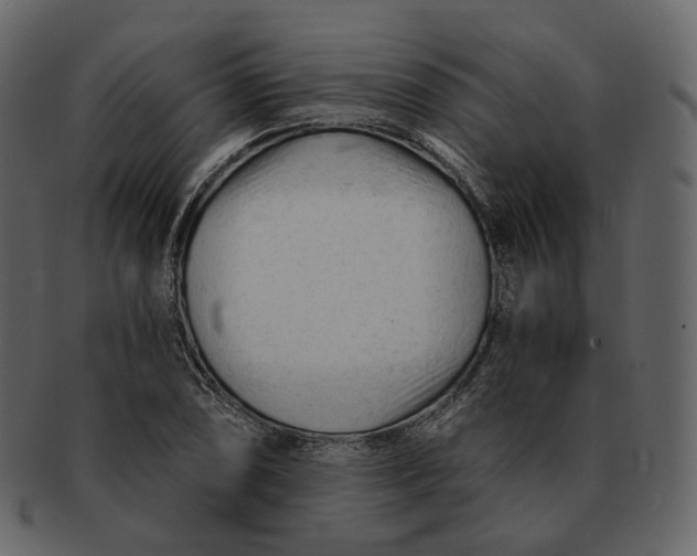 X0000092311074200710051234