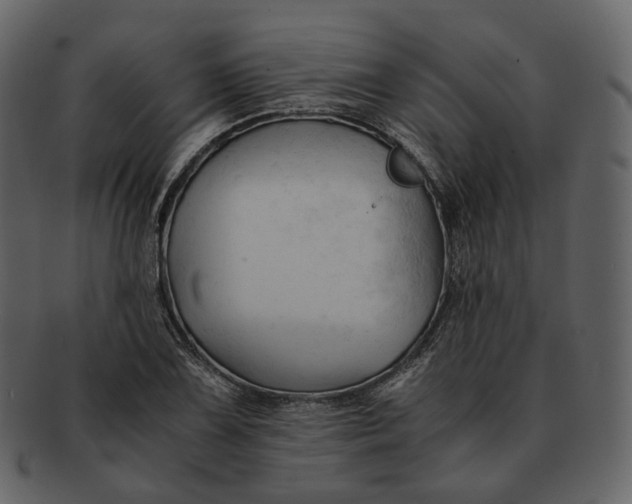 X0000092311075200710051234