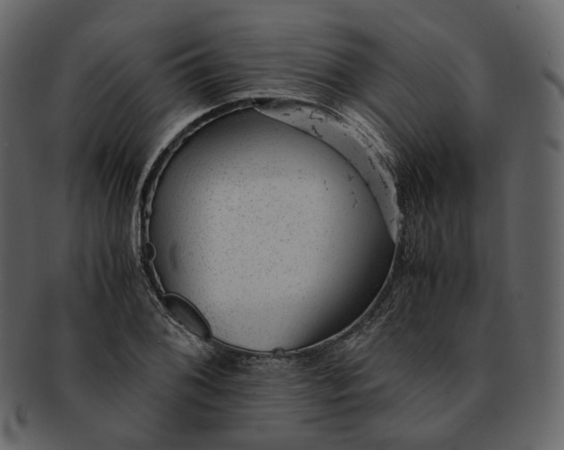 X0000092311076200710051234