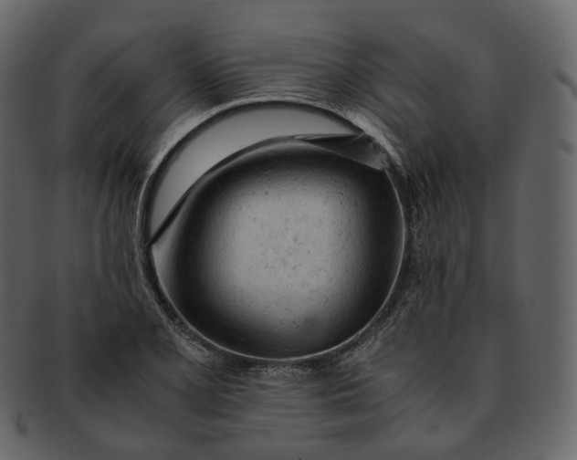 X0000092311077200710051234