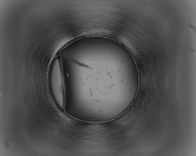 X0000092311079200710051234