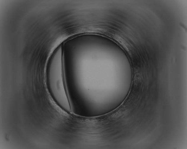 X0000092311080200710051234