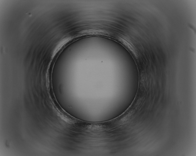 X0000092311082200710051234