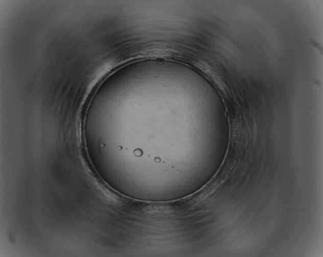 X0000092311083200710051234