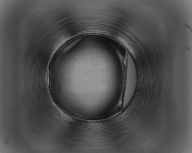 X0000092311084200710051234