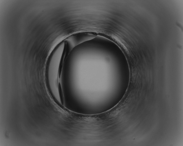 X0000092311085200710051234