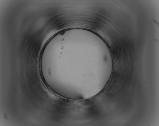 X0000092311086200710051234