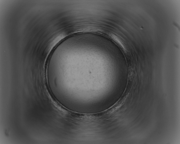X0000092311087200710051234