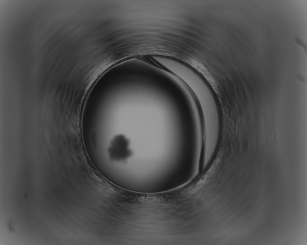 X0000092311089200710051234