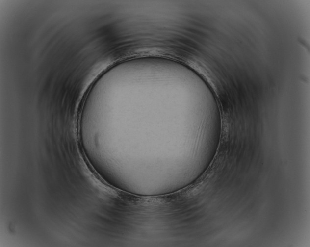 X0000092311090200710051234