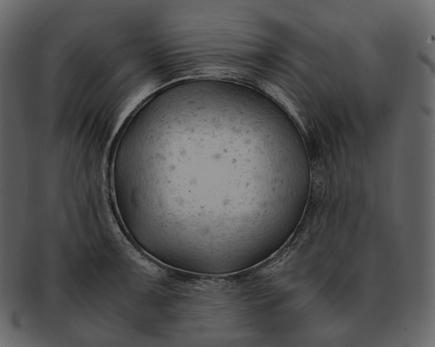 X0000092311091200710051234