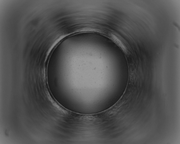 X0000092311092200710051234
