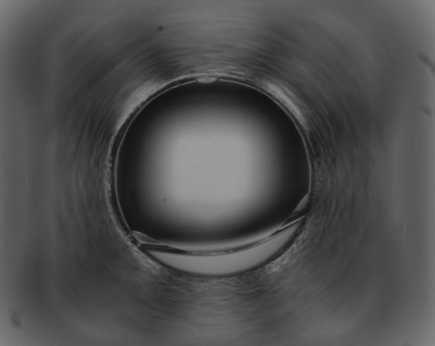 X0000092311093200710051234