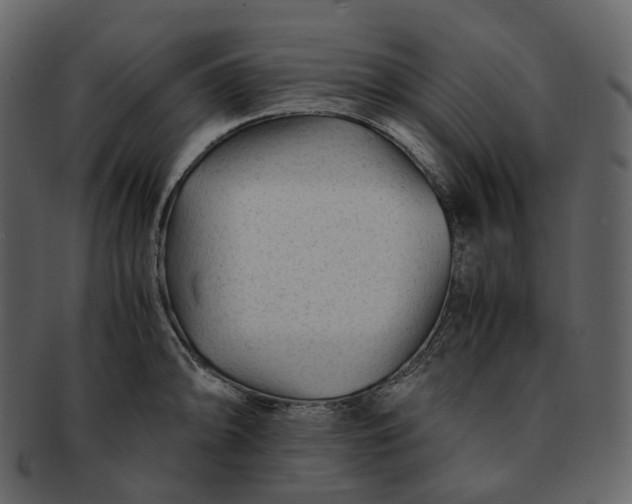 X0000092311094200710051234