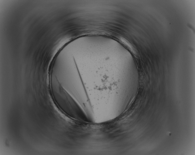 X0000092311095200710051234