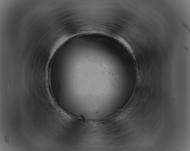 X0000092311096200710051234