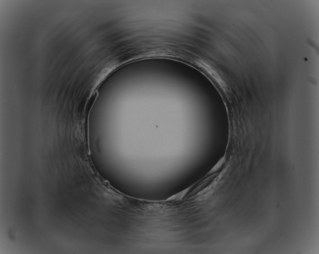 X0000092311097200710051234