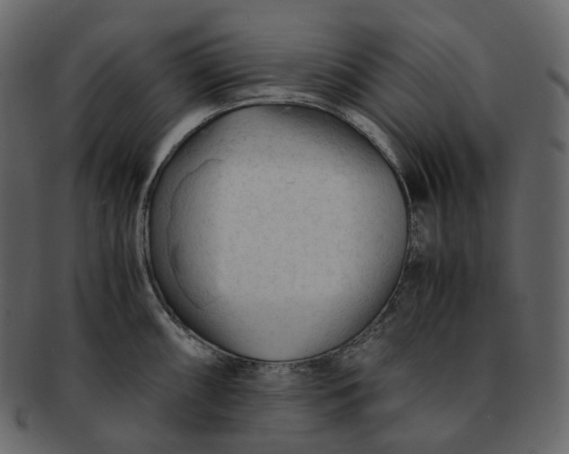 X0000092311098200710051234