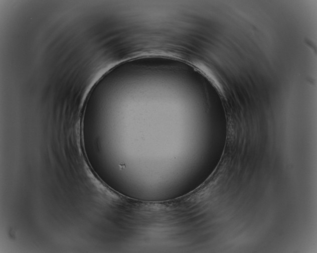 X0000092311100200710051234