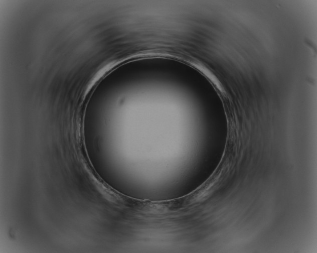 X0000092311101200710051234