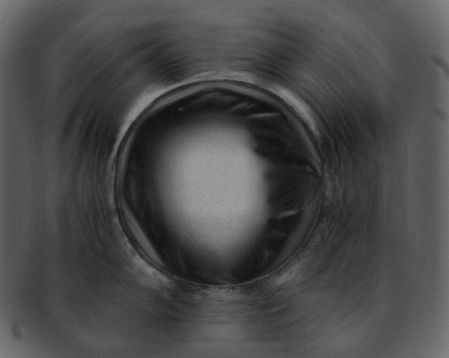 X0000092311102200710051234