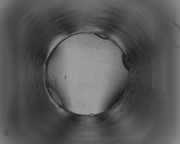 X0000092311103200710051234