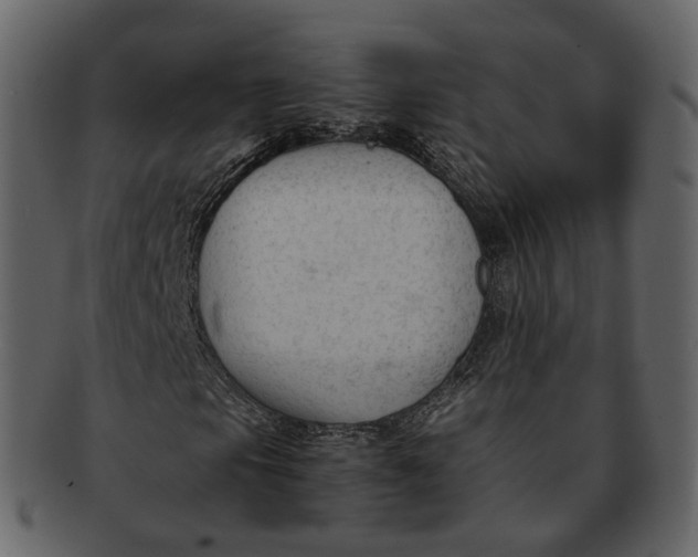 X0000092311105200710051233