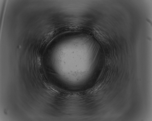 X0000092311106200710051233