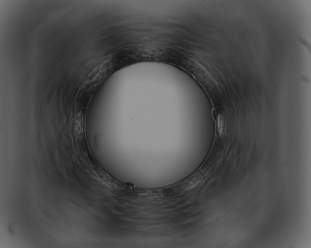X0000092311107200710051233