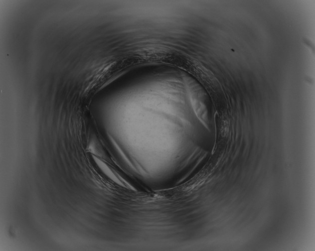 X0000092311108200710051233