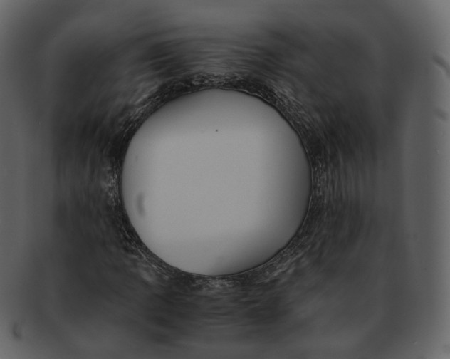 X0000092311109200710051233