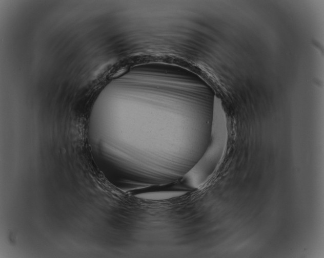 X0000092311110200710051233