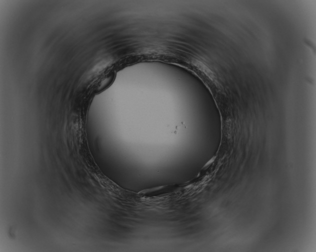 X0000092311111200710051233