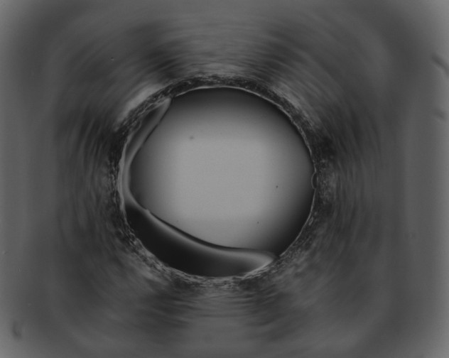 X0000092311112200710051233