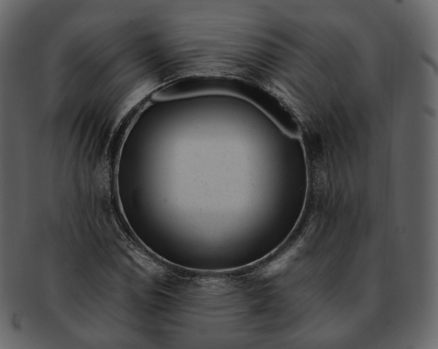 X0000092311114200710051233