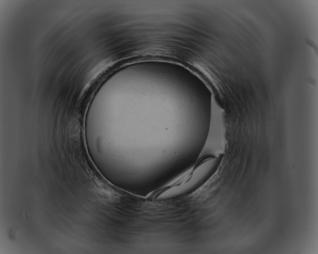 X0000092311115200710051233