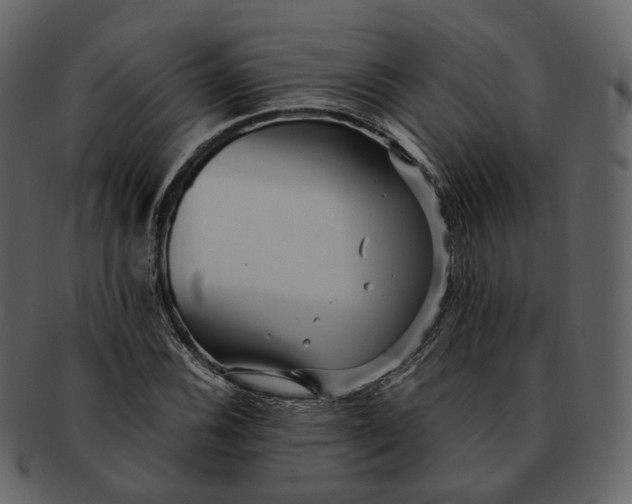 X0000092311116200710051233