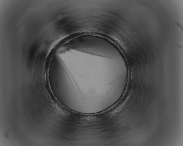 X0000092311117200710051233