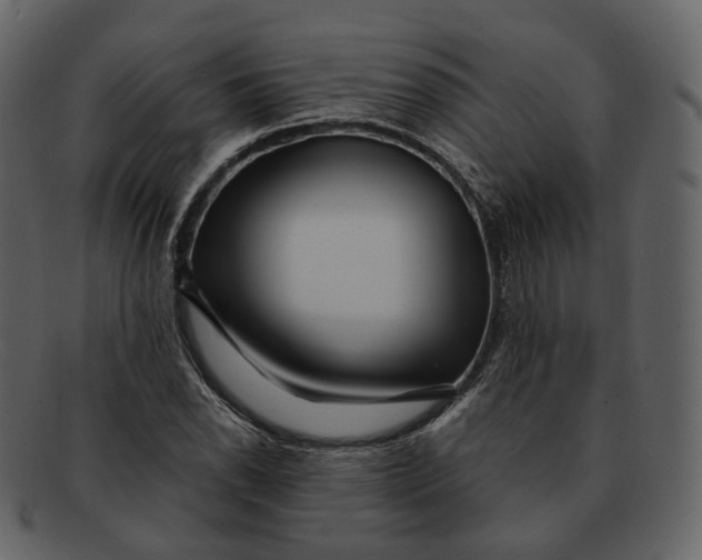 X0000092311118200710051233