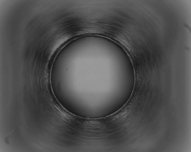 X0000092311119200710051233