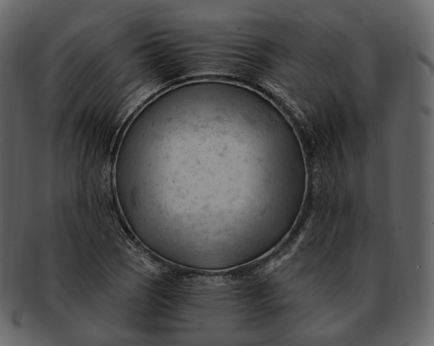 X0000092311121200710051233
