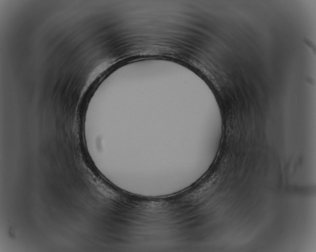 X0000092311122200710051233
