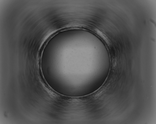 X0000092311124200710051233