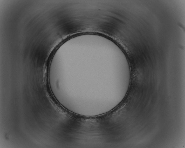 X0000092311126200710051233