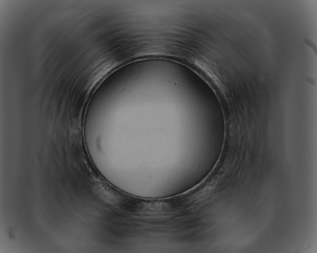 X0000092311129200710051233
