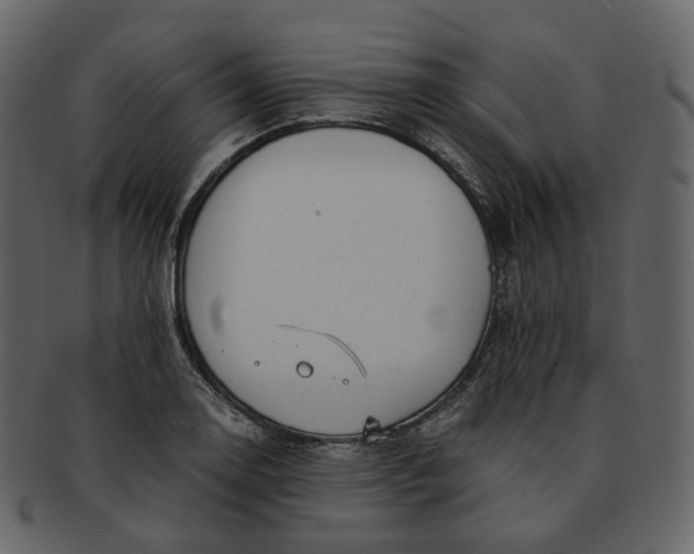 X0000092311130200710051233