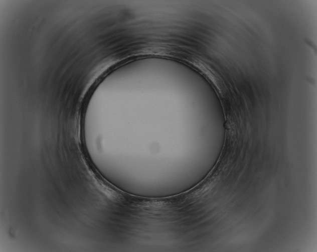 X0000092311131200710051233