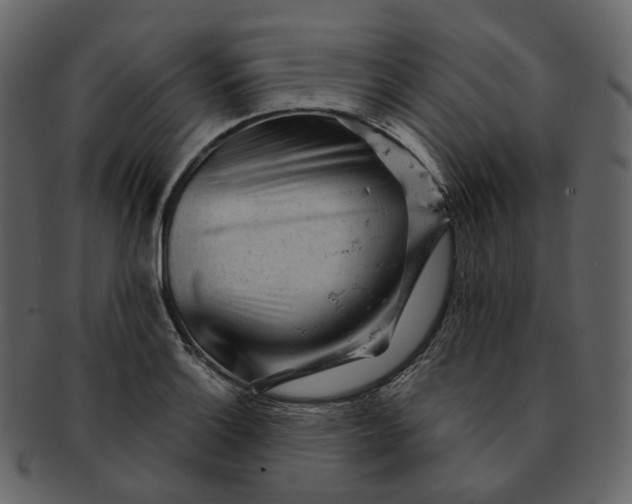 X0000092311132200710051233