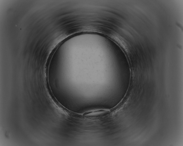 X0000092311133200710051233